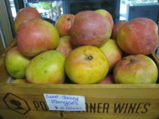 ̂肽ݺް@PWO~炢